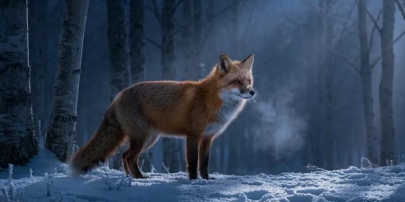 Google’ın Yeni Görüntü Modeli Nano Banana Pro Duyuruldu