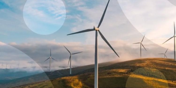 UiPath, Enerjisa’nın Dijital Dönüşümünü Yapay Zekâ ve Otomasyonla Hızlandırdı