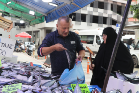 Rize'de Palamut Bolluğu Tezgâhlara Yansıdı: Tane Fiyatı 50 Liradan Başlıyor
