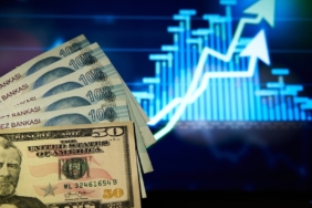 Dolar/TL kuru haftanın ilk işlem gününde 49,1630 ile tüm zamanların zirvesine çıktı
