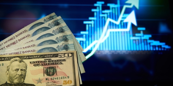 Dolar/TL kuru haftanın ilk işlem gününde 49,1630 ile tüm zamanların zirvesine çıktı