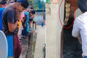 Hindistan'da Bir Evin Klozetinde Görülen Dev Kobra Yılanı Paniğe Neden Oldu